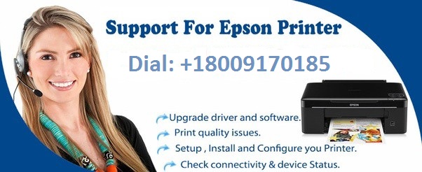 Epson Ink Cartridge Not Recognised
