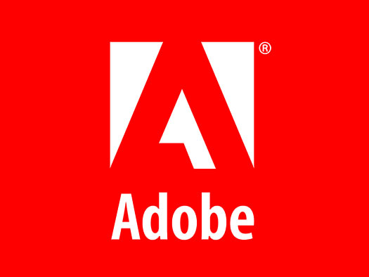 Adobe Reader 0xc0000022