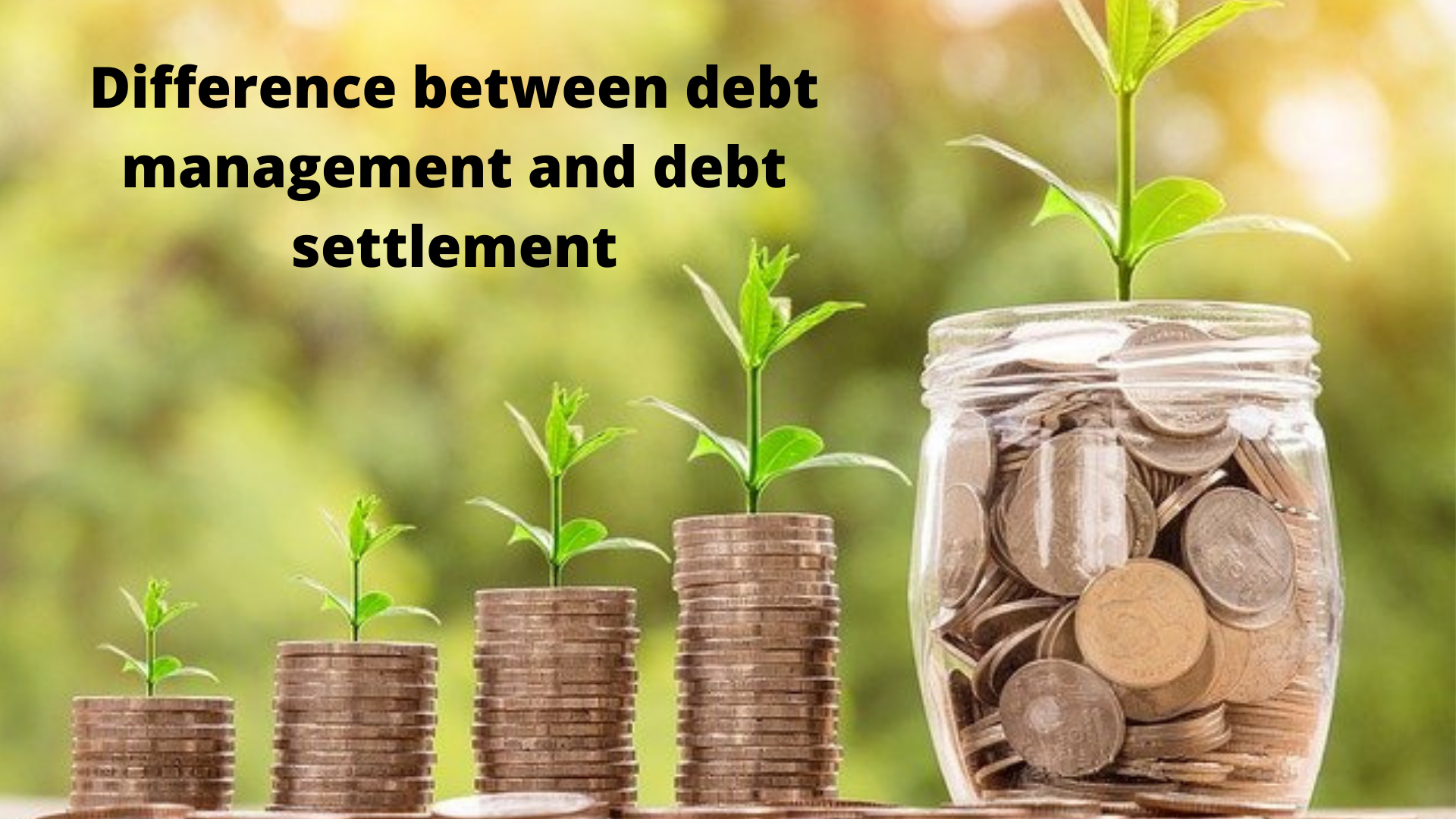 debt management & settlement